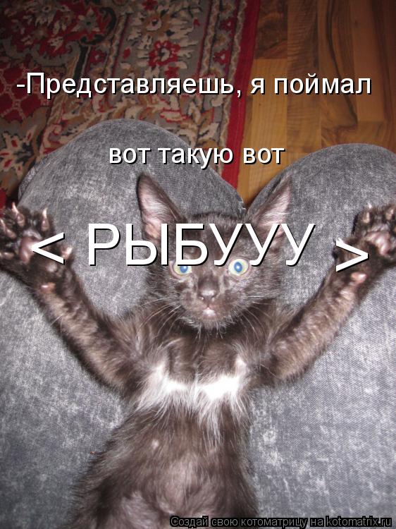 Котоматрица: < > -Представляешь, я поймал вот такую вот РЫБУУУ