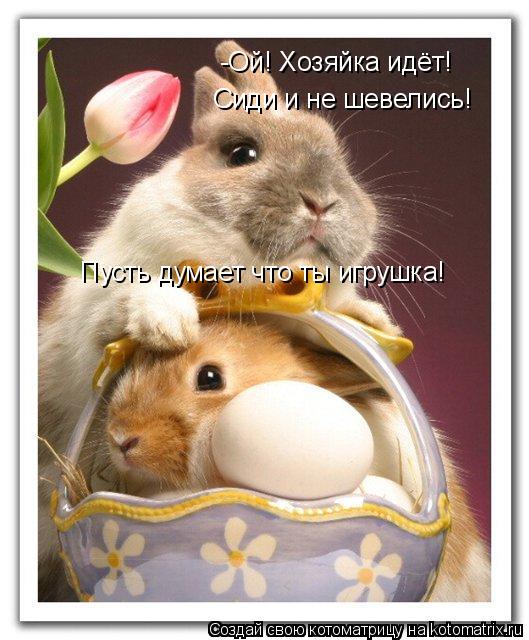 Котоматрица: -Ой! Хозяйка идёт! Сиди и не шевелись!  Пусть думает что ты игрушка!