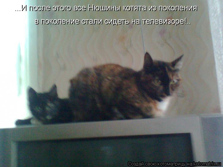...И после этого все Нюшины котята из поколения в поколение стали сидеть на телевизоре!..... Котоматрица: ...И после этого все Нюшины котята из поколения в поколение стали сидеть на телевизоре!..