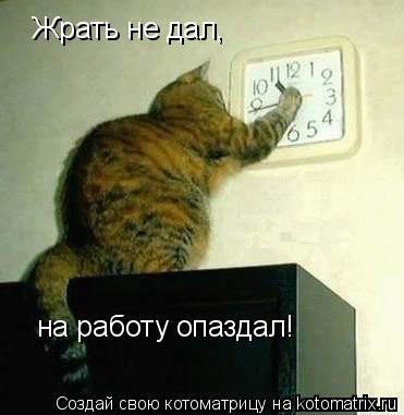 Жрать не дал, на работу опаздал!... Котоматрица: Жрать не дал, на работу опаздал!