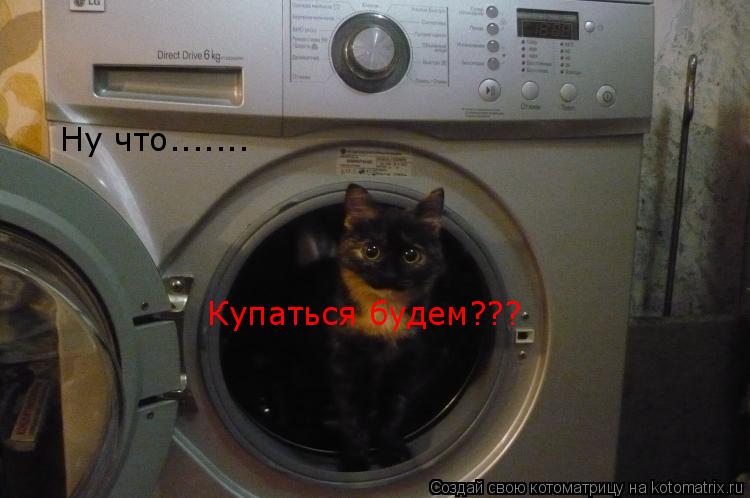 Ну что....... Купаться будем???... Котоматрица: Ну что....... Купаться будем???