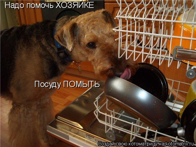 Надо помочь ХОЗЯЙКЕ Посуду ПОМЫТЬ... Котоматрица: Надо помочь ХОЗЯЙКЕ Посуду ПОМЫТЬ
