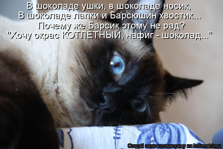 В шоколаде ушки, в шоколаде носик, В шоколаде лапки и Барсюшин хвостик... Почему же Барсик этому не р... Котоматрица: В шоколаде ушки, в шоколаде носик, В шоколаде лапки и Барсюшин хвостик... Почему же Барсик этому не рад? "Хочу окрас КОТЛЕТНЫЙ, нафиг - шоколад.