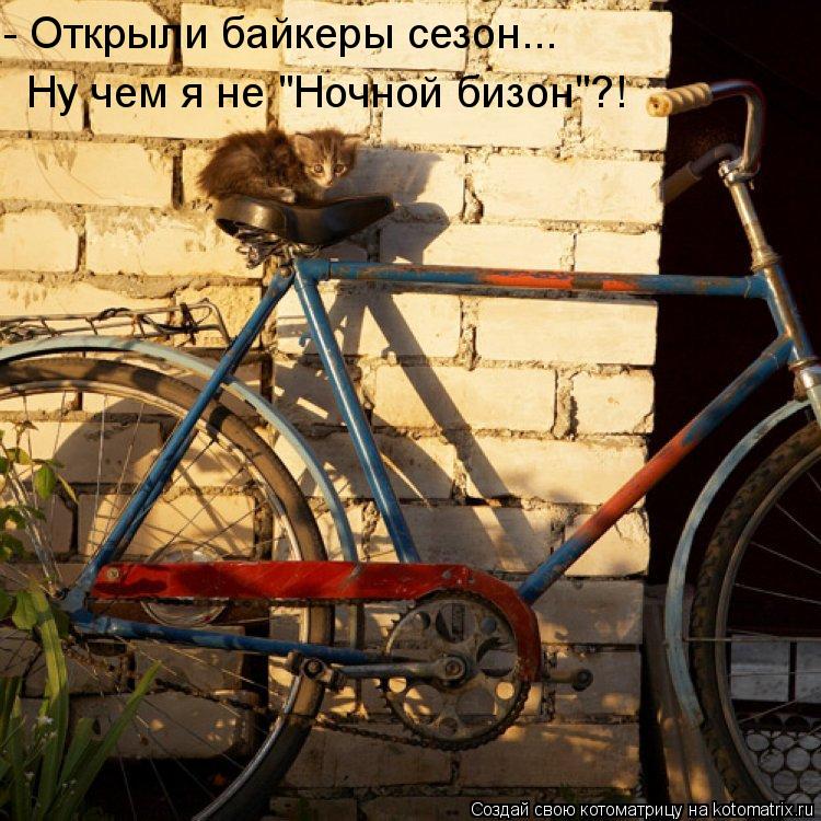 - Открыли байкеры сезон... Ну чем я не "Ночной бизон"?!... Котоматрица: - Открыли байкеры сезон... Ну чем я не "Ночной бизон"?!