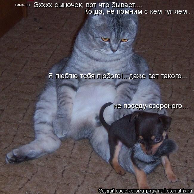 Когда, не помним с кем гуляем... Я люблю тебя любого!.. даже вот такого... Эхххх сыночек, вот что быв... Котоматрица: Когда, не помним с кем гуляем... Я люблю тебя любого!.. даже вот такого... Эхххх сыночек, вот что бывает.... (мысли) не поседу-озороного...