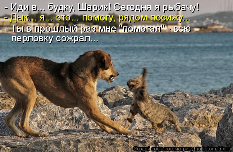 - Иди в... будку, Шарик! Сегодня я рыбачу! - Дык... я... это... помогу, рядом посижу... - Ты в прошлы... Котоматрица: - Иди в... будку, Шарик! Сегодня я рыбачу! - Дык... я... это... помогу, рядом посижу... - Ты в прошлый раз мне "помогал" - всю перловку сожрал...
