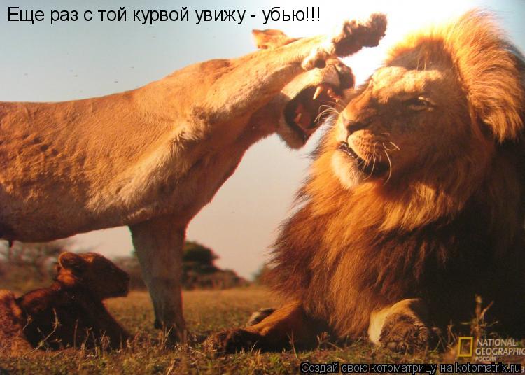 Еще раз с той курвой увижу - убью!!!... Котоматрица: Еще раз с той курвой увижу - убью!!!