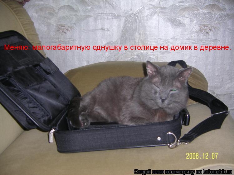 Меняю: малогабаритную однушку в столице на домик в деревне.... Котоматрица: Меняю: малогабаритную однушку в столице на домик в деревне.