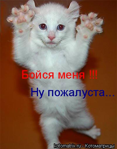 Бойся меня !!! Ну пожалуста...... Котоматрица: Бойся меня !!! Ну пожалуста...