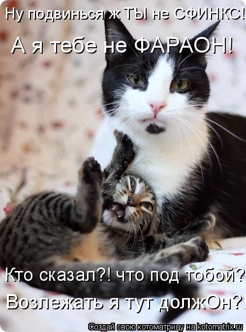 Кто сказал?! что под тобой?! Возлежать я тут должОн?! Ну подвинься ж ТЫ не СФИНКС! А я тебе не ФАРАОН... Котоматрица: Кто сказал?! что под тобой?! Возлежать я тут должОн?! Ну подвинься ж ТЫ не СФИНКС! А я тебе не ФАРАОН!