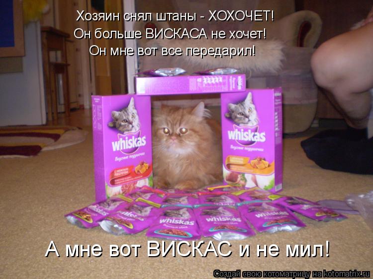 Хозяин снял штаны - ХОХОЧЕТ! Он больше ВИСКАСА не хочет! Он мне вот все передарил! А мне вот ВИСКАС и... Котоматрица: Хозяин снял штаны - ХОХОЧЕТ! Он больше ВИСКАСА не хочет! Он мне вот все передарил! А мне вот ВИСКАС и не мил!