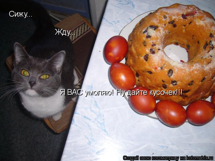 Cижу... Жду... Я ВАС умоляю! Ну дайте кусочек!!!... Котоматрица: Cижу... Жду... Я ВАС умоляю! Ну дайте кусочек!!!