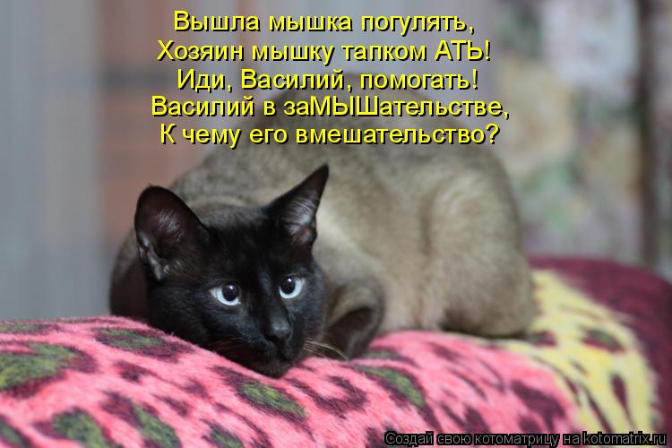 Вышла мышка погулять, Хозяин мышку тапком АТЬ! Иди, Василий, помогать! Василий в заМЫШательстве, К че... Котоматрица: Вышла мышка погулять, Хозяин мышку тапком АТЬ! Иди, Василий, помогать! Василий в заМЫШательстве, К чему его вмешательство?