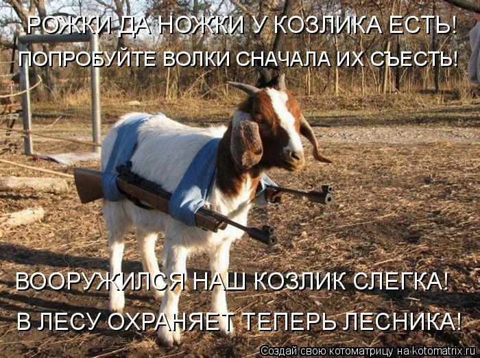 В ЛЕСУ ОХРАНЯЕТ ТЕПЕРЬ ЛЕСНИКА! ВООРУЖИЛСЯ НАШ КОЗЛИК СЛЕГКА! РОЖКИ ДА НОЖКИ У КОЗЛИКА ЕСТЬ! ПОПРОБУЙ... Котоматрица: В ЛЕСУ ОХРАНЯЕТ ТЕПЕРЬ ЛЕСНИКА! ВООРУЖИЛСЯ НАШ КОЗЛИК СЛЕГКА! РОЖКИ ДА НОЖКИ У КОЗЛИКА ЕСТЬ! ПОПРОБУЙТЕ ВОЛКИ СНАЧАЛА ИХ СЪЕСТЬ!