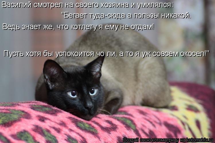 Василий смотрел на своего хозяина и умилялся: "Бегает туда-сюда а пользы никакой. Ведь знает же, что ... Котоматрица: Василий смотрел на своего хозяина и умилялся: "Бегает туда-сюда а пользы никакой. Ведь знает же, что котлету я ему не отдам! Пусть хотя бы усп