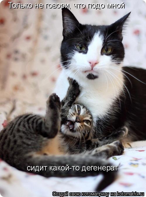 Только не говори, что подо мной сидит какой-то дегенерат... Котоматрица: Только не говори, что подо мной сидит какой-то дегенерат