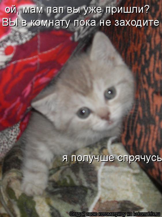 ой, мам пап вы уже пришли? ВЫ в комнату пока не заходите я получше спрячусь... Котоматрица: ой, мам пап вы уже пришли? ВЫ в комнату пока не заходите я получше спрячусь