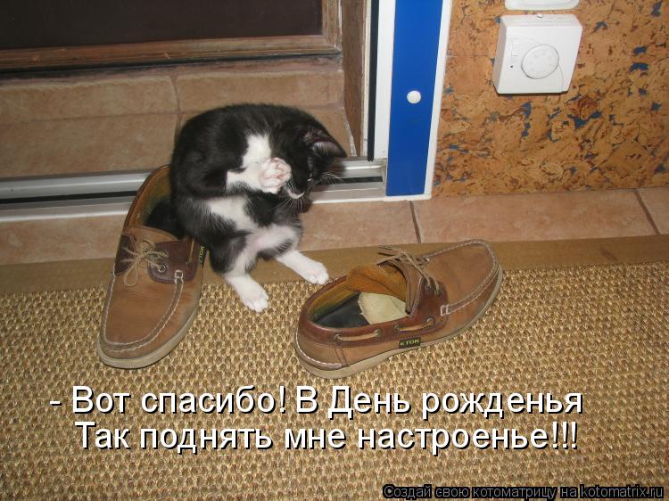 - Вот спасибо! В День рожденья Так поднять мне настроенье!!!... Котоматрица: - Вот спасибо! В День рожденья Так поднять мне настроенье!!!