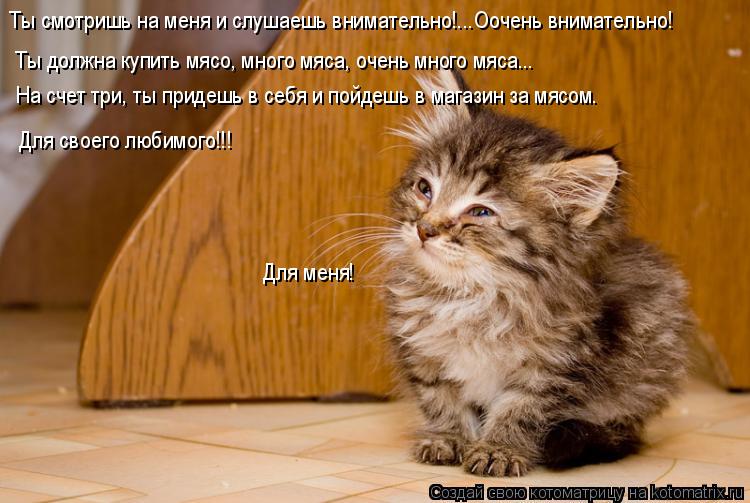 Котоматрица: Ты смотришь на меня и слушаешь внимательно!...Оочень внимательно! На счет три, ты придешь в себя и пойдешь в магазин за мясом. Ты должна купит