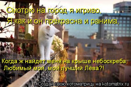 Любимый мой, мой лучший Лёва?! Когда ж найдет меня на крыше небоскреба, Смотрю на город я игриво, Я к... Котоматрица: Любимый мой, мой лучший Лёва?! Когда ж найдет меня на крыше небоскреба, Смотрю на город я игриво, Я как и он прекрасна и ранима,