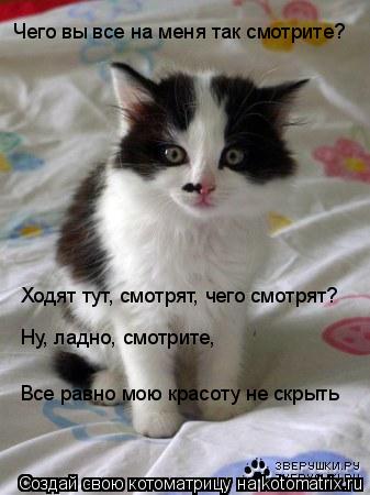 Чего вы все на меня так смотрите? Ходят тут, смотрят, чего смотрят? Ну, ладно, смотрите, Все равно м... Котоматрица: Чего вы все на меня так смотрите? Ходят тут, смотрят, чего смотрят? Ну, ладно, смотрите, Все равно мою красоту не скрыть