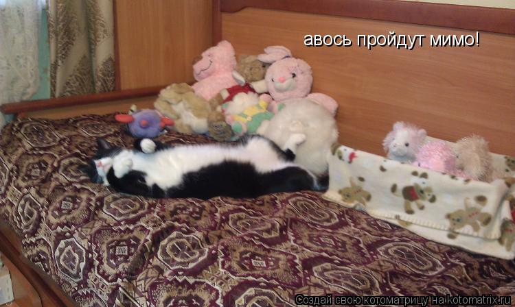 авось пройдут мимо!... Котоматрица: авось пройдут мимо!