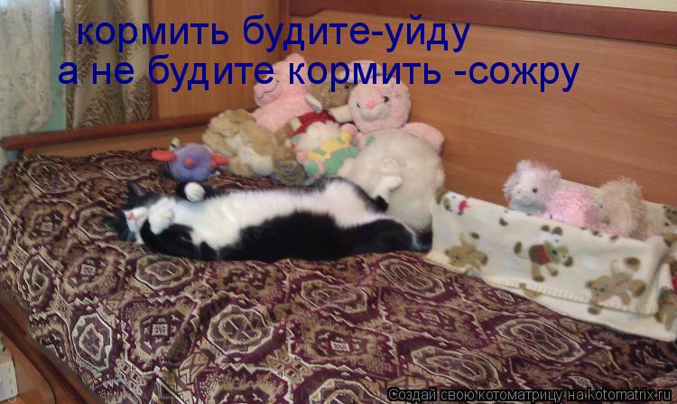 кормить будите-уйду а не будите кормить -сожру... Котоматрица: кормить будите-уйду а не будите кормить -сожру
