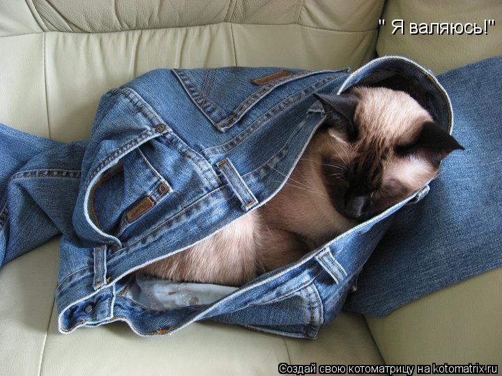 " Я валяюсь!"... Котоматрица: " Я валяюсь!"