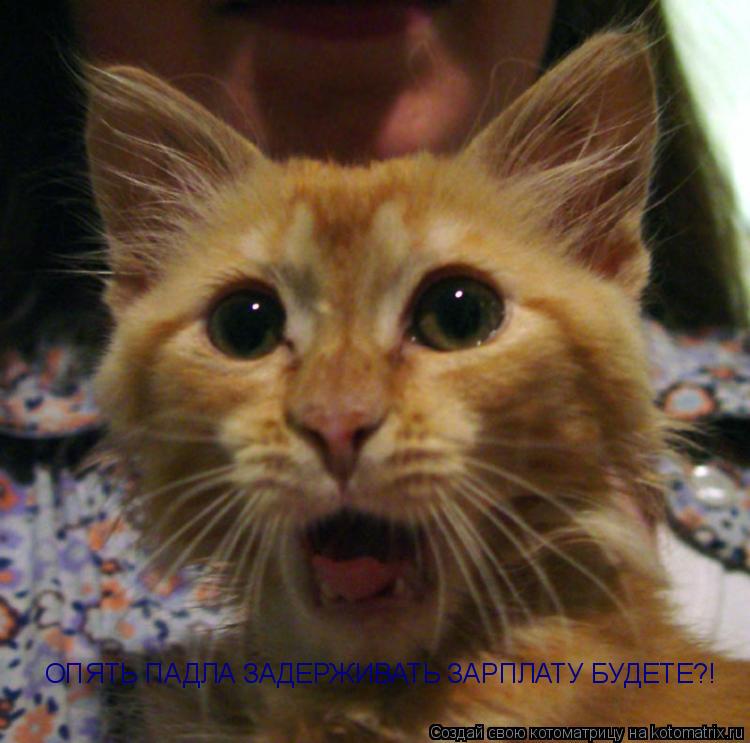 Котоматрица: ОПЯТЬ ПАДЛА ЗАДЕРЖИВАТЬ ЗАРПЛАТУ БУДЕТЕ?!