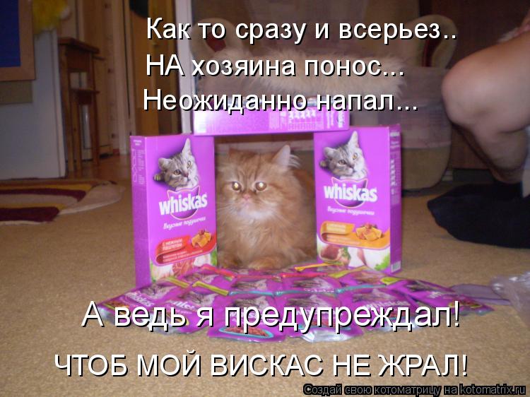 Котоматрица: Как то сразу и всерьез.. НА хозяина понос... Неожиданно напал... А ведь я предупреждал! ЧТОБ МОЙ ВИСКАС НЕ ЖРАЛ!