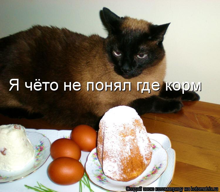 Котоматрица: Я чёто не понял где корм