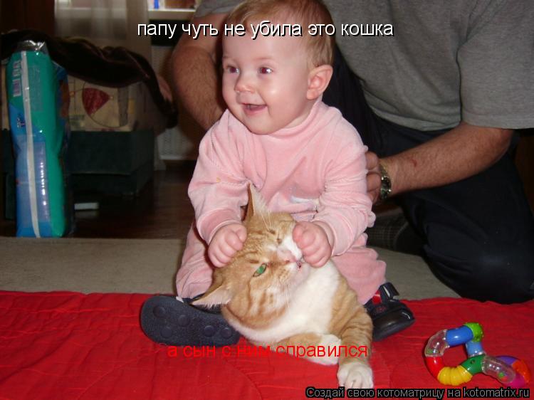 Котоматрица: папу чуть не убила это кошка а сын с ним справился