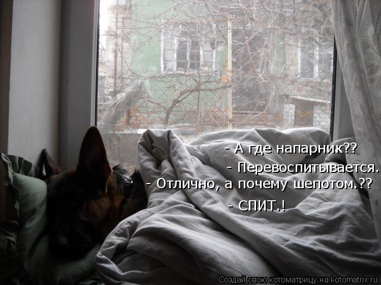 - А где напарник?? - Перевоспитывается.. - Отлично, а почему шепотом.?? - СПИТ.! - А где напарник??... Котоматрица: - А где напарник?? - Перевоспитывается.. - Отлично, а почему шепотом.?? - СПИТ.! - А где напарник??