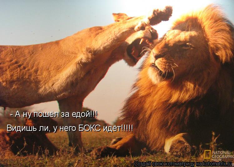 - А ну пошёл за едой!!! Видишь ли, у него БОКС идёт!!!!!... Котоматрица: - А ну пошёл за едой!!! Видишь ли, у него БОКС идёт!!!!!