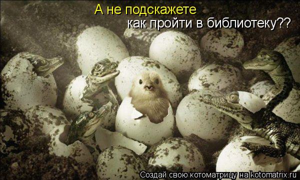 А не подскажете как пройти в библиотеку??... Котоматрица: А не подскажете как пройти в библиотеку??