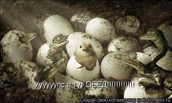 Котоматрица: Уууууупс я тут ОБЕД!!!!!!!!!!!!