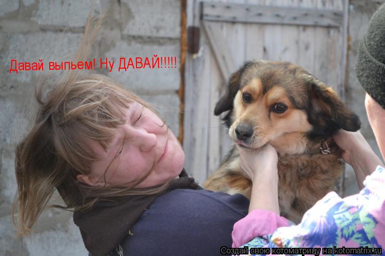 Давай выпьем! Ну ДАВАЙ!!!!!... Котоматрица: Давай выпьем! Ну ДАВАЙ!!!!!