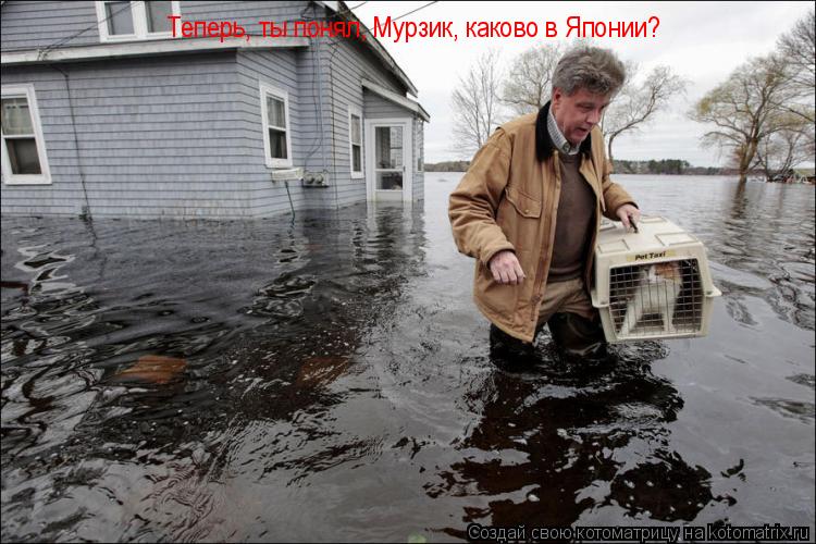 Котоматрица: Теперь, ты понял, Мурзик, каково в Японии?