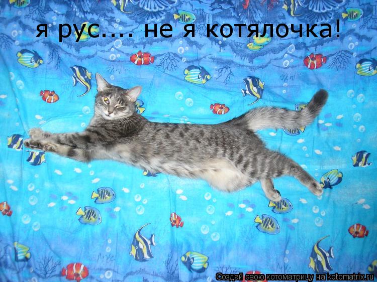 я рус.... не я котялочка!... Котоматрица: я рус.... не я котялочка!