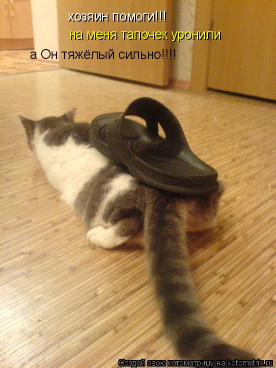 Котоматрица: хозяин помоги!!! хозяин помоги!!! на меня тапочек уронили а Он тяжёлый сильно!!!!