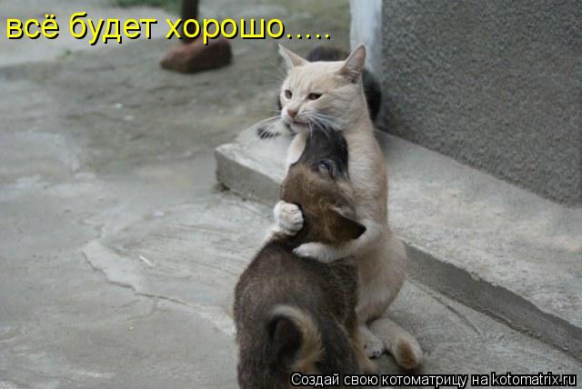 Котоматрица: всё будет хорошо.....