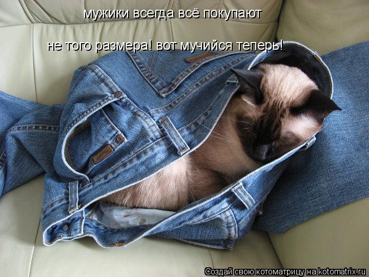 Котоматрица: мужики всегда всё покупают  не того размера! вот мучийся теперь!