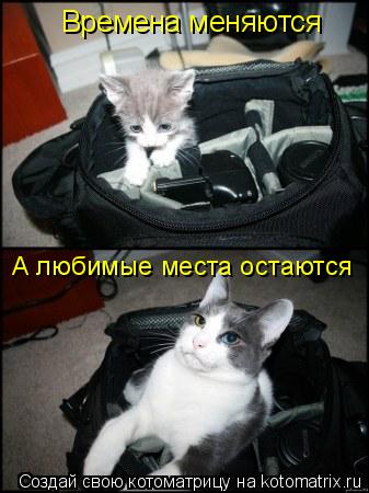 Котоматрица: Времена меняются А любимые места остаются