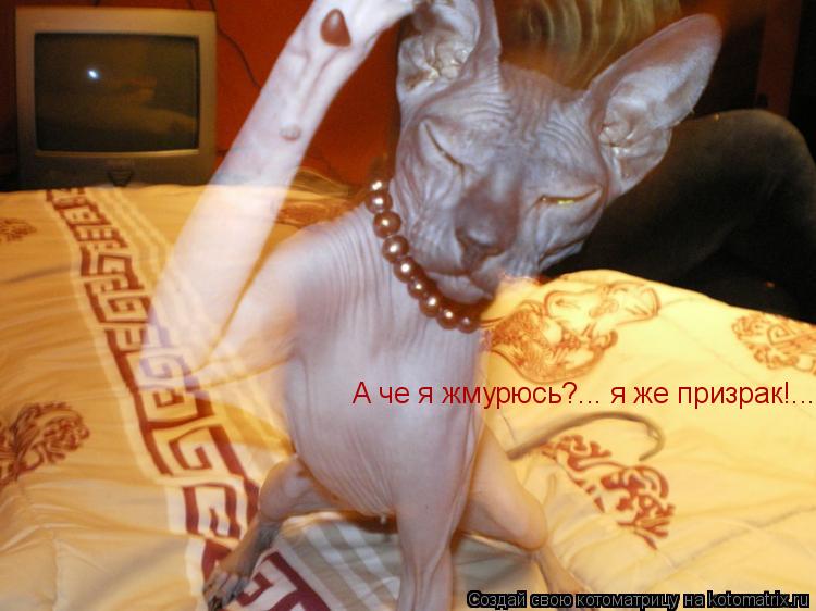 Котоматрица: А че я жмурюсь?... я же призрак!...