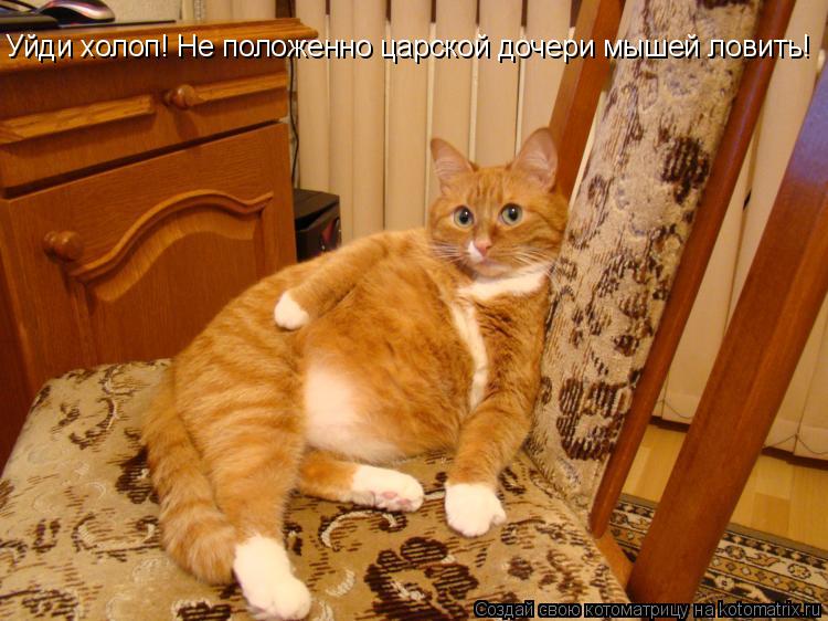 Котоматрица: Уйди холоп! Не положенно царской дочери мышей ловить!