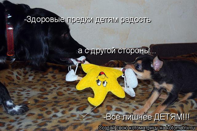 Котоматрица: -Здоровые предки детям радость а с другой стороны... -Всё лишнее ДЕТЯМ!!!