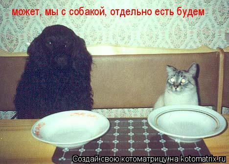 может, мы с собакой, отдельно есть будем... Котоматрица: может, мы с собакой, отдельно есть будем
