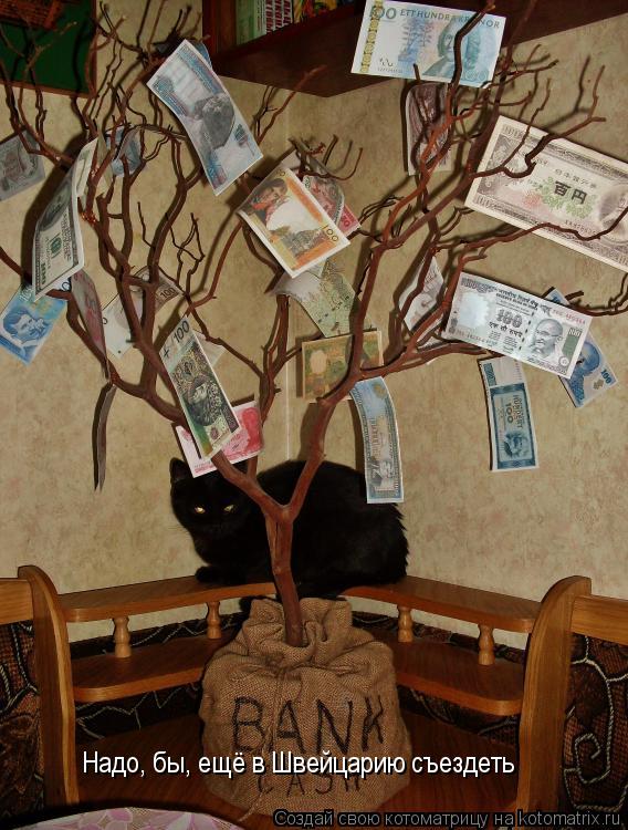 Котоматрица: Надо, бы, ещё в Швейцарию съездеть