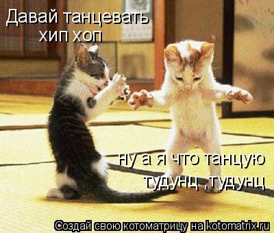 Давай танцевать хип хоп ну а я что танцую тудунц ,тудунц... Котоматрица: Давай танцевать хип хоп ну а я что танцую тудунц ,тудунц