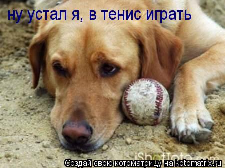 ну устал я, в тенис играть... Котоматрица: ну устал я, в тенис играть